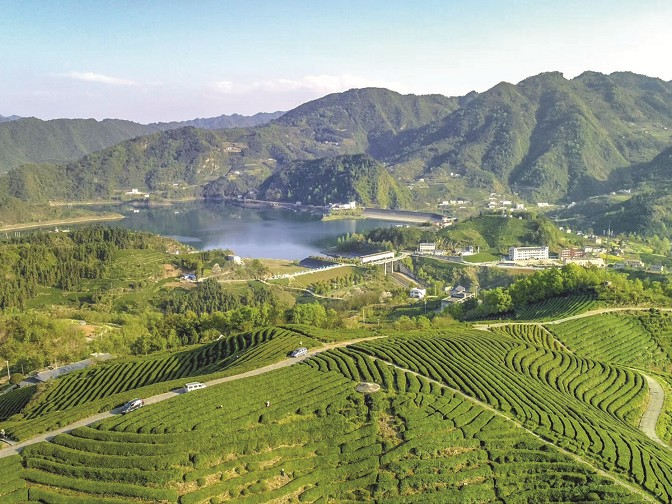 何垚辰督导溢水镇平安稳定工作