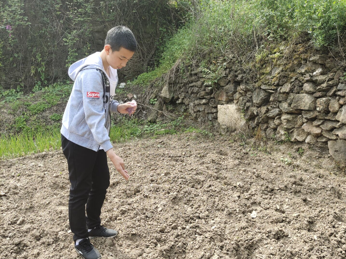  张振武小学开展五一劳动教育实践活动