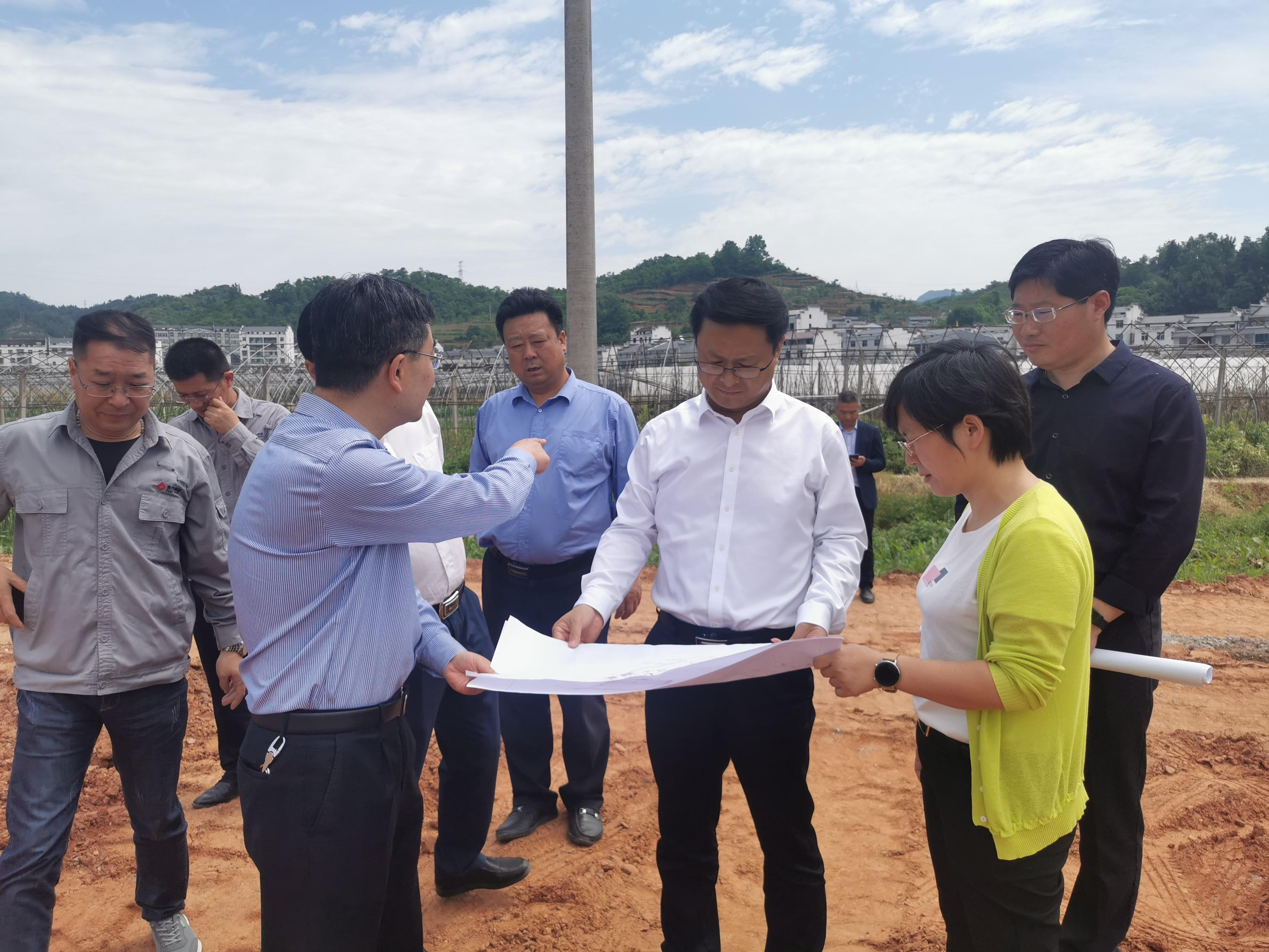 陈建平：集中精力抓项目稳投资促发展