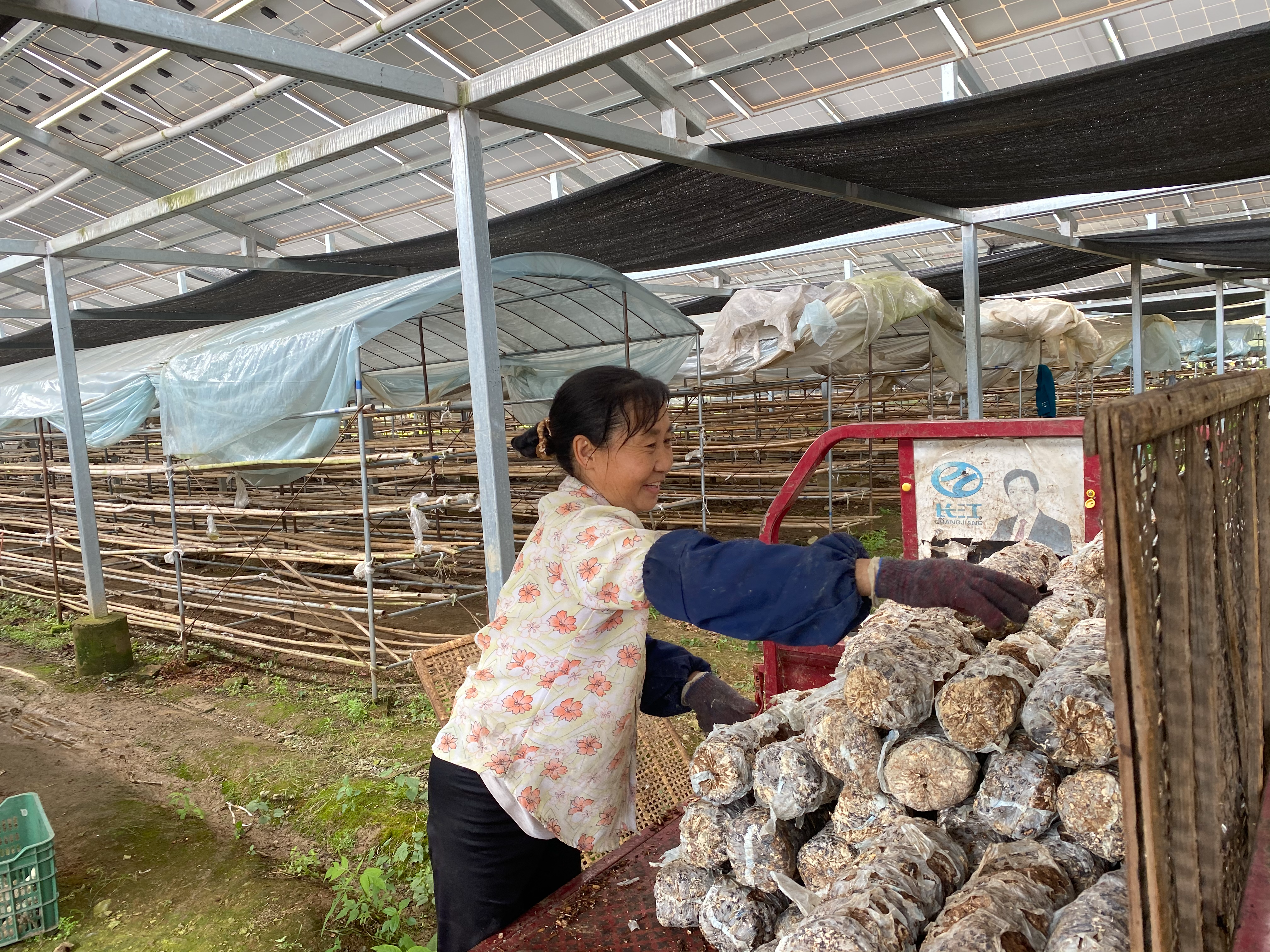县领导调研农业产业化建设