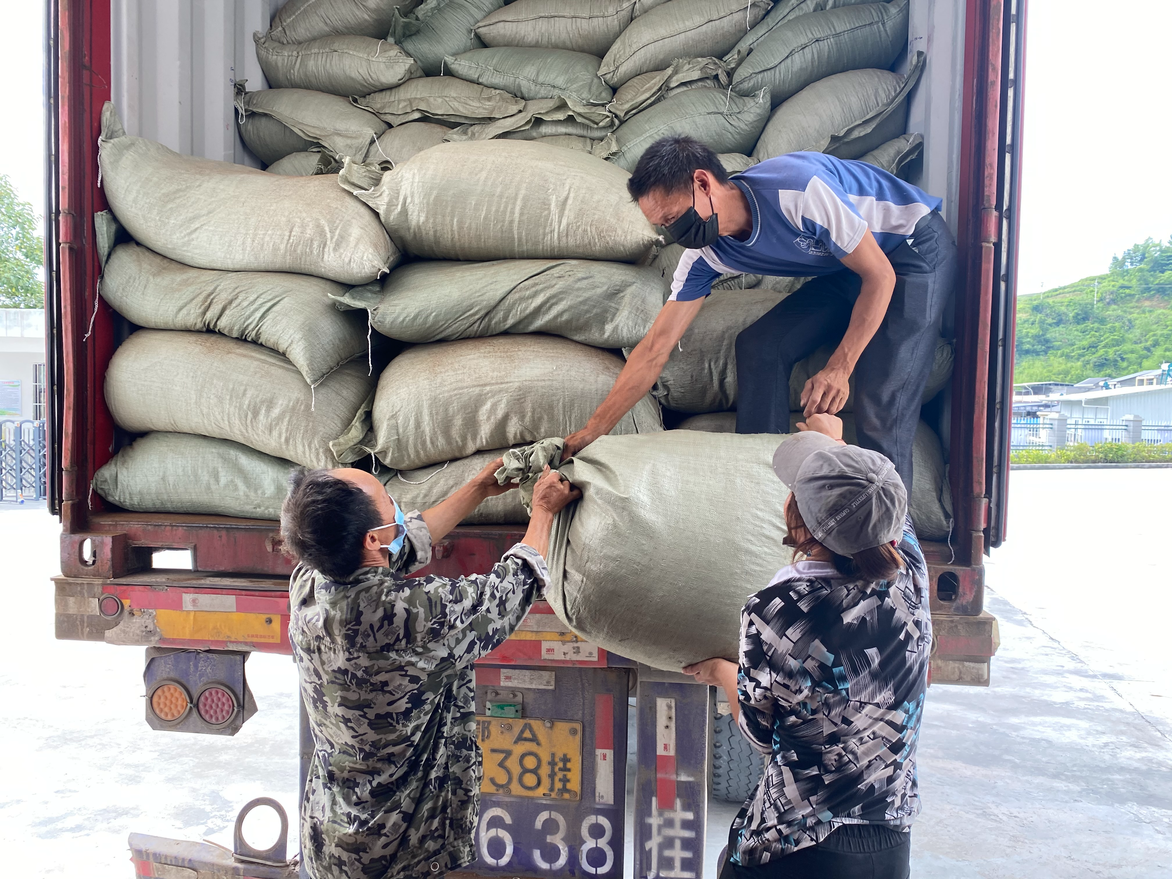 秦巴山红茶出口