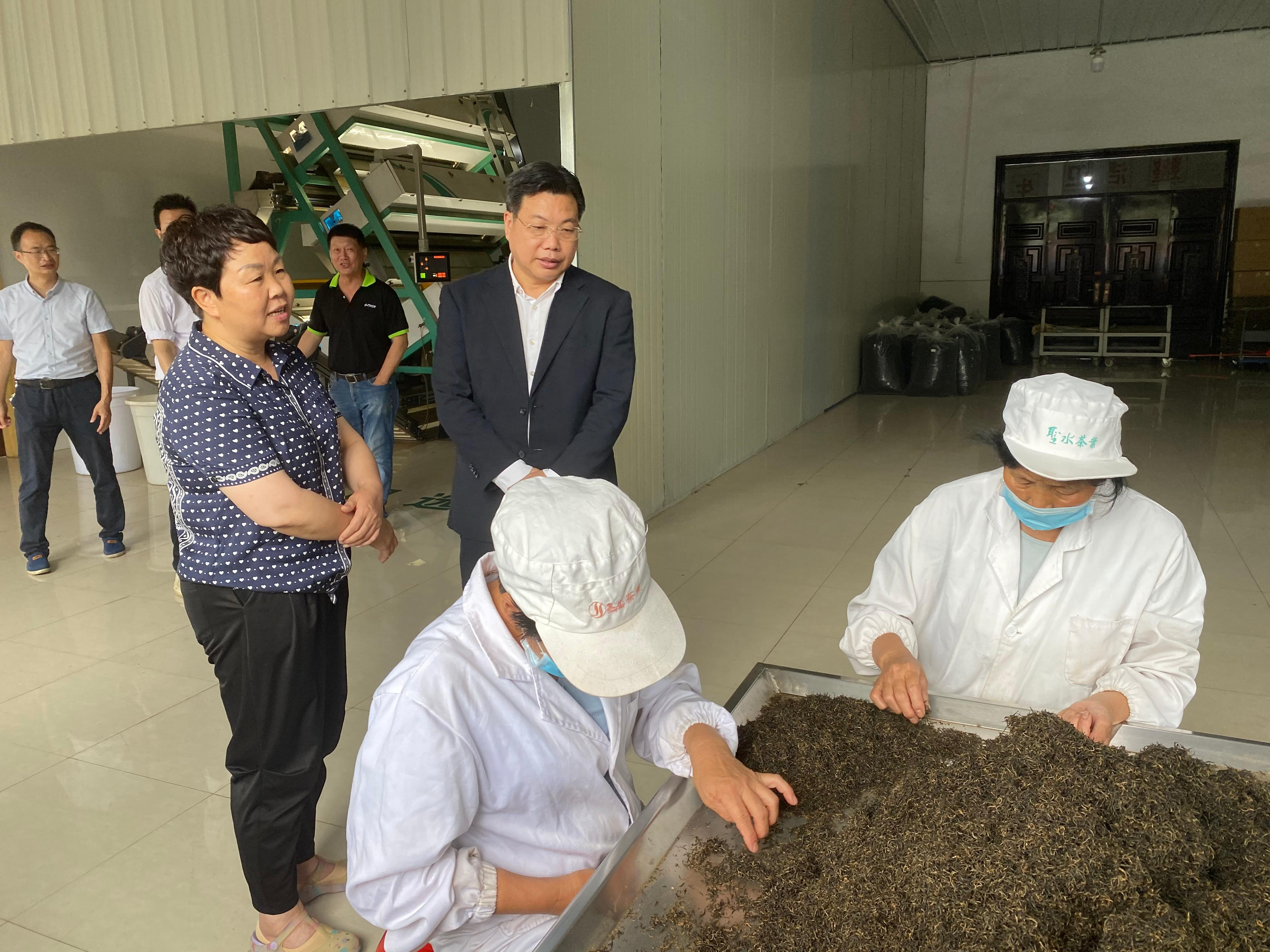 融伍国际投资集团董事长伍礼平来我县考察