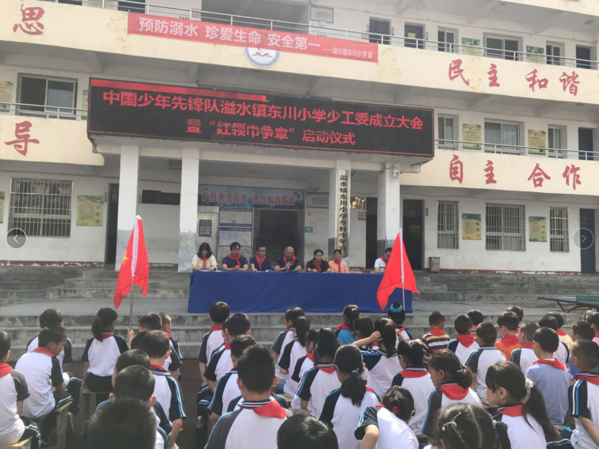  溢水镇东川小学成立少工委 