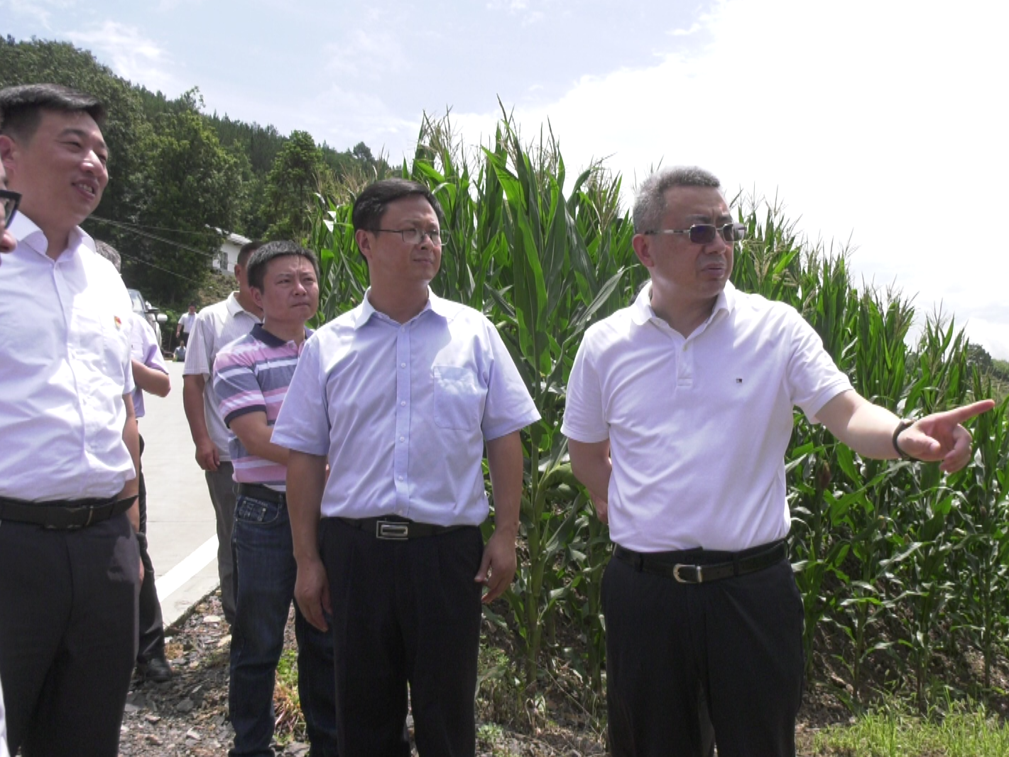 省地质局局长胡道银一行来我县调研