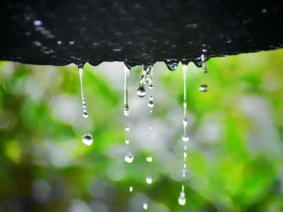 聽竹山｜停下來，聆聽雨的訴說…