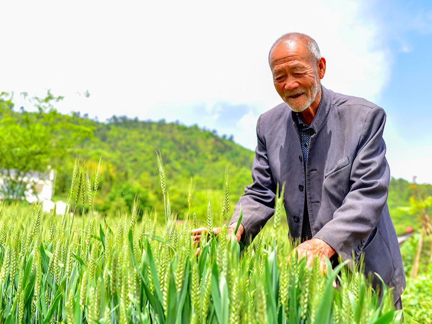 文峰乡轻土坪村80岁以上老人有39人