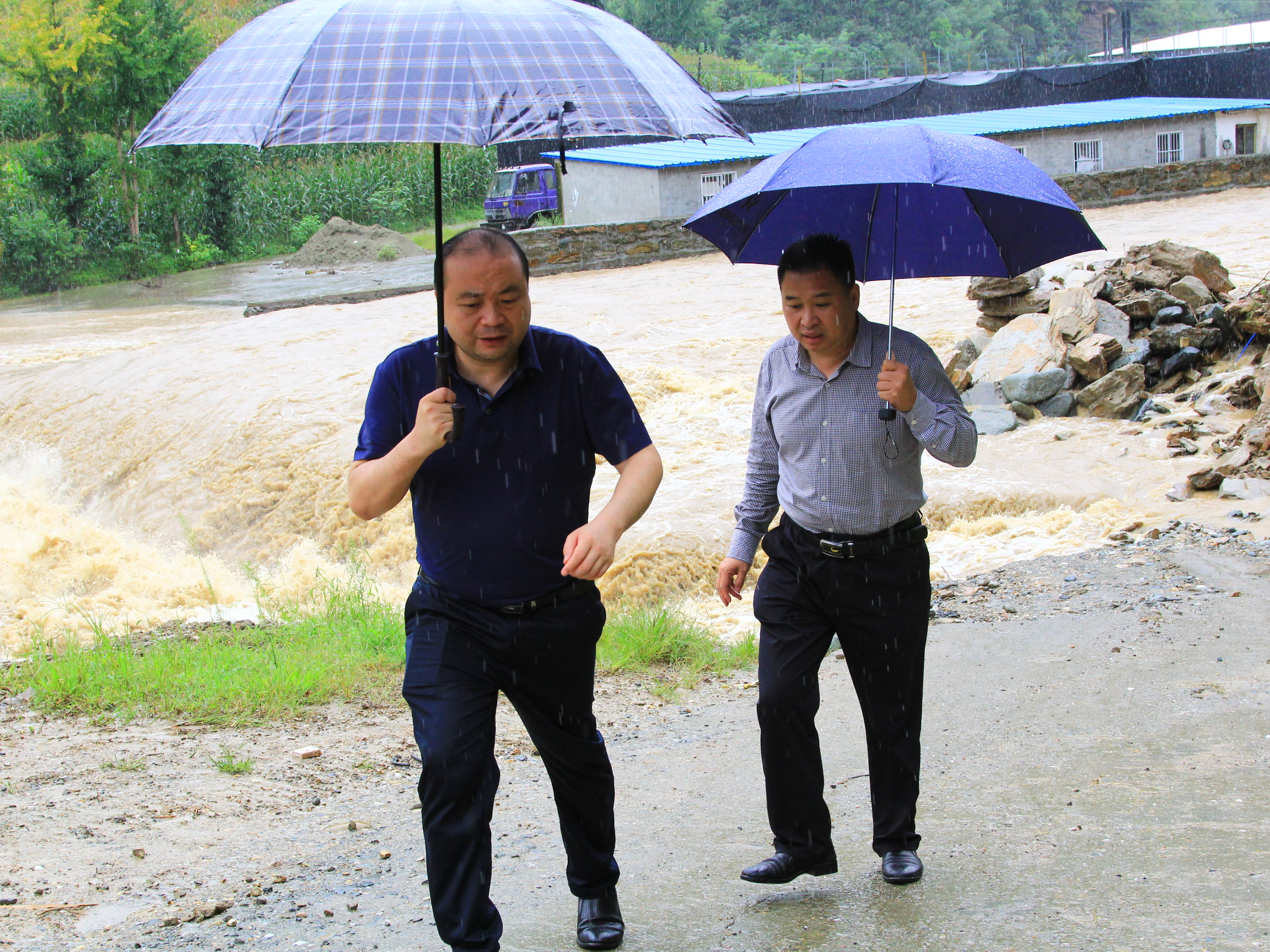 县领导检查指导双台乡防汛救灾工作