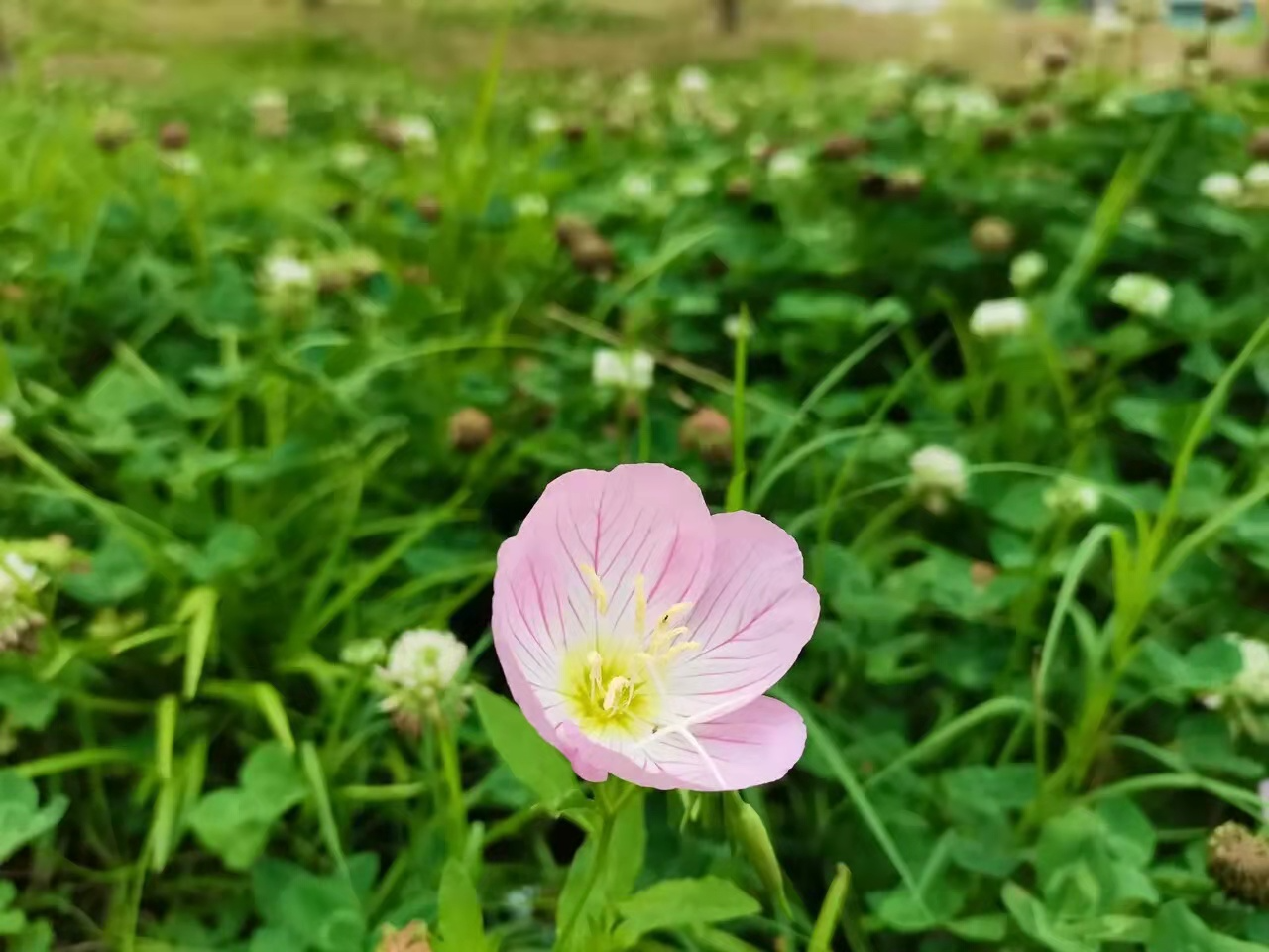 竹山縣稅務(wù)局：優(yōu)質(zhì)服務(wù)“不斷檔”   便民利企“不打烊”