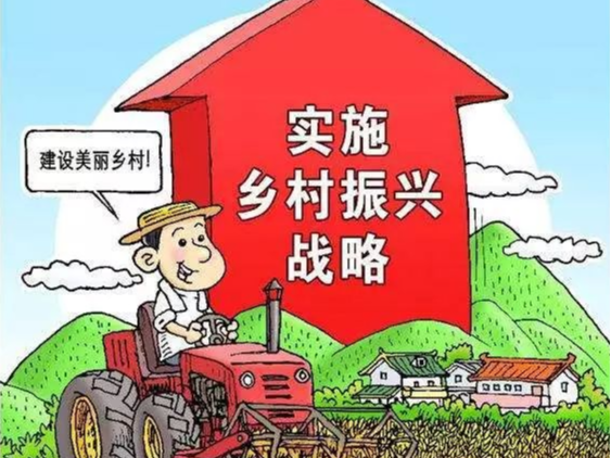 湖北工建集团来我县对接乡村振兴