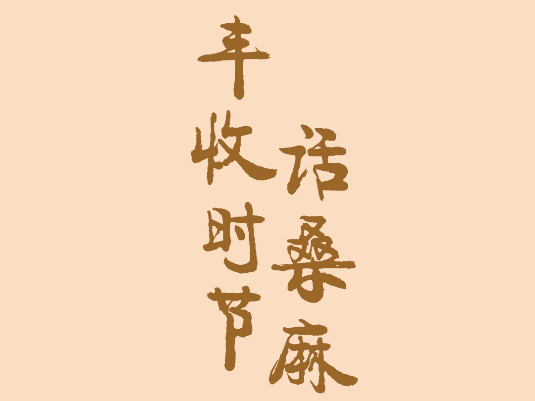 丰收时节话桑麻