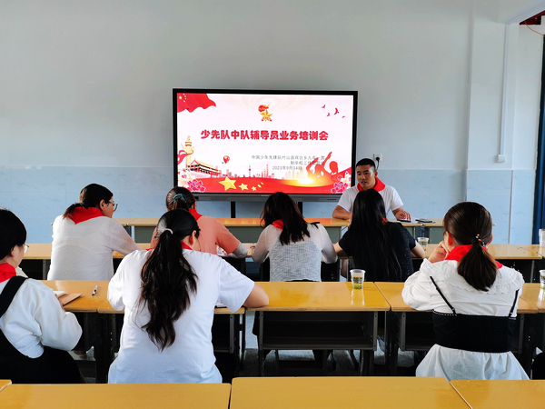 双台乡九年一贯制学校开展网络安全宣传活动