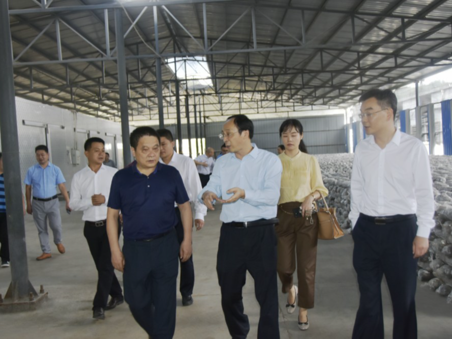 省农业农村厅来我县调研乡村产业建设