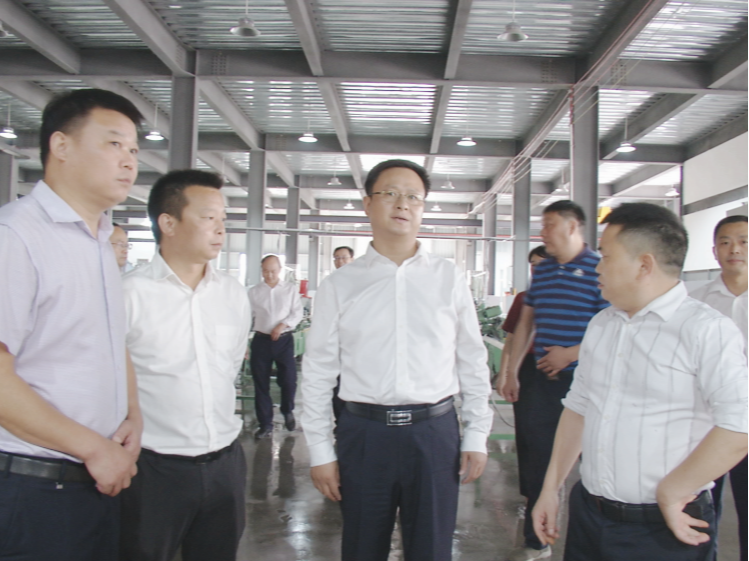 陈建平：协同推进经济高质量发展和生态环境高水平保护