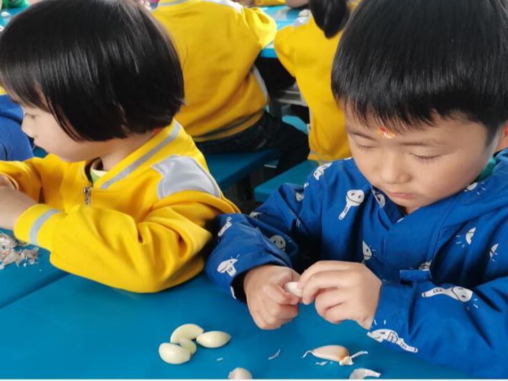 溢水镇中心幼儿园开展劳动体验活动