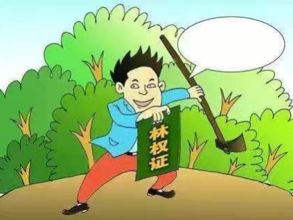 縣自然資源和規劃局扎實做好林權數字化建檔工作