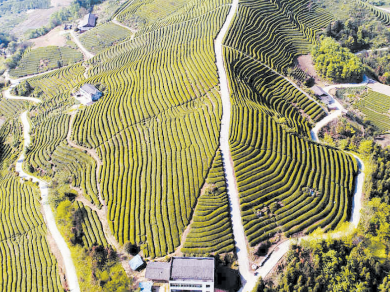 我县收看全国冬春农田水利暨高标准农田建设电视电话会