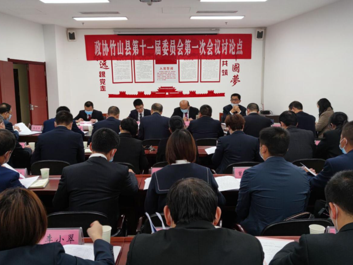县政协十一届一次会议第五组开展讨论