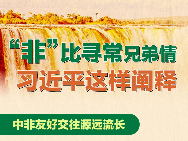 “非”比寻常兄弟情 习近平这样阐释