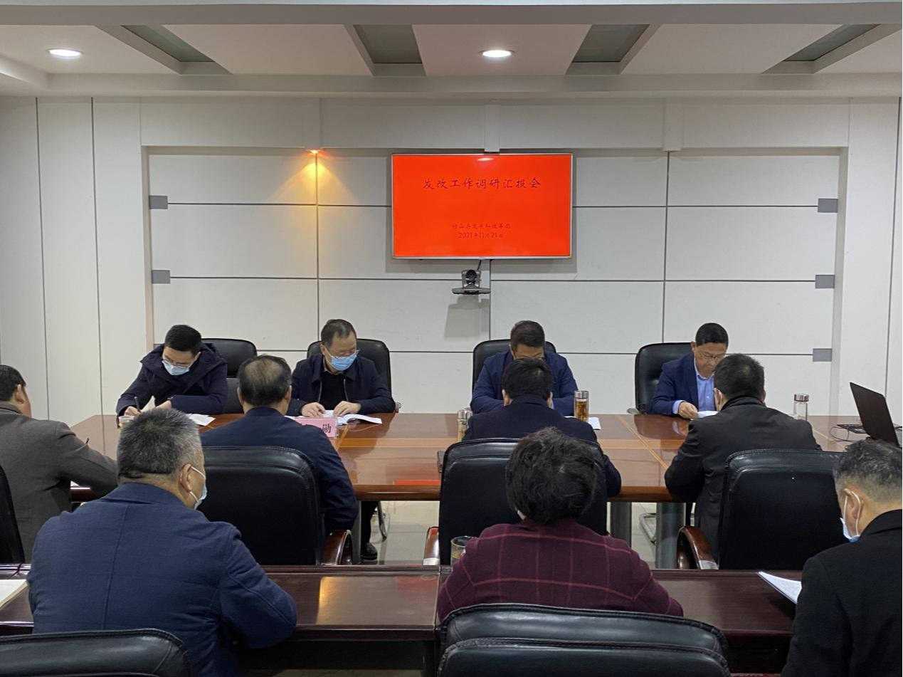 县领导到发改局调研