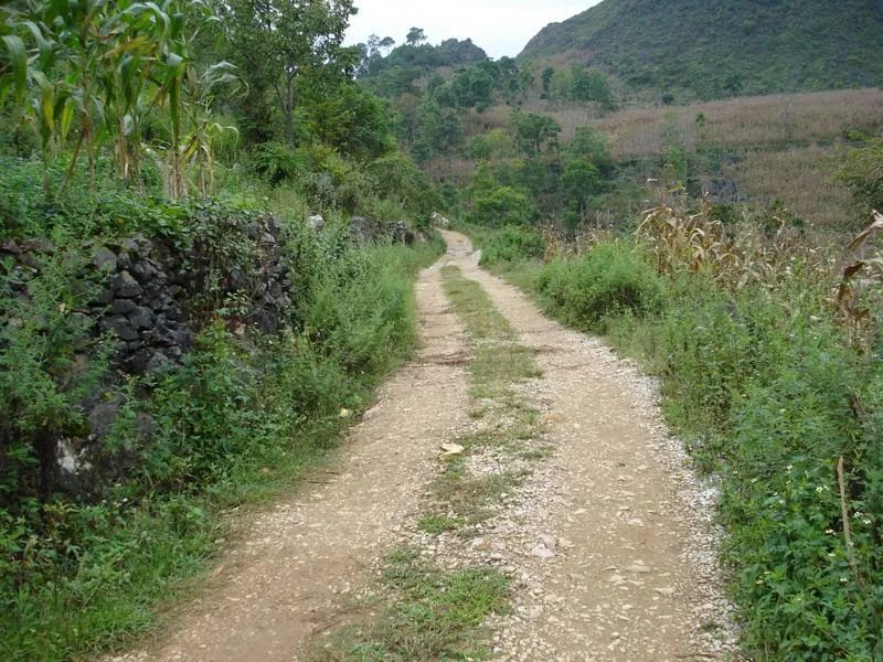 聽竹山｜這條路，承載著我們的夢想