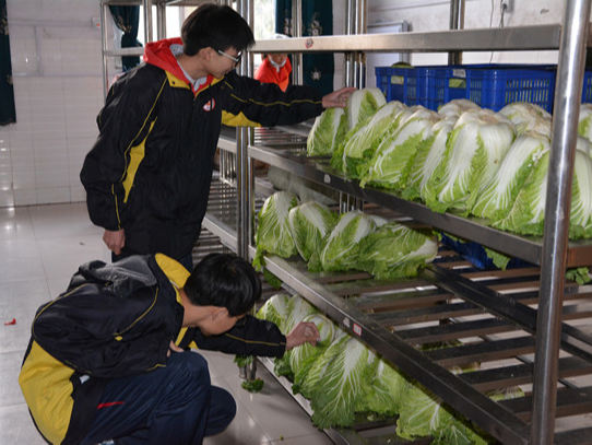 竹山二中：食堂服务接受学生“考核”