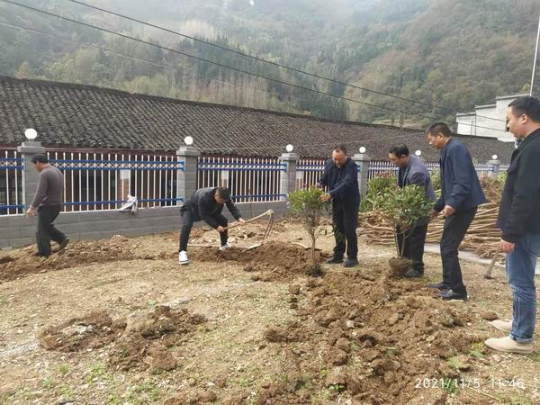 楼台乡治安教学点绿化校园500平方米