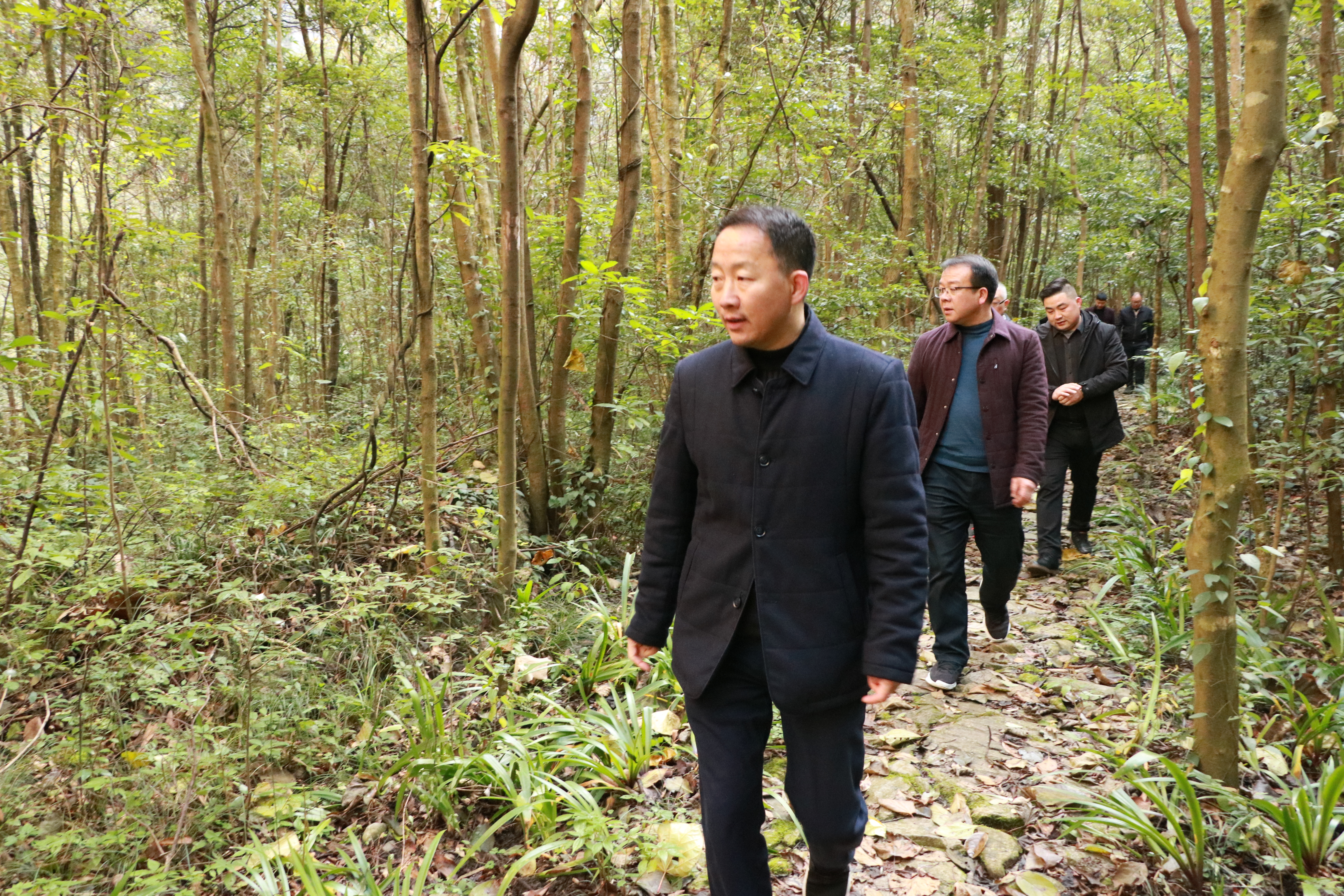 九女峰管理局：扎實做好山林防火 筑牢防火安全屏障