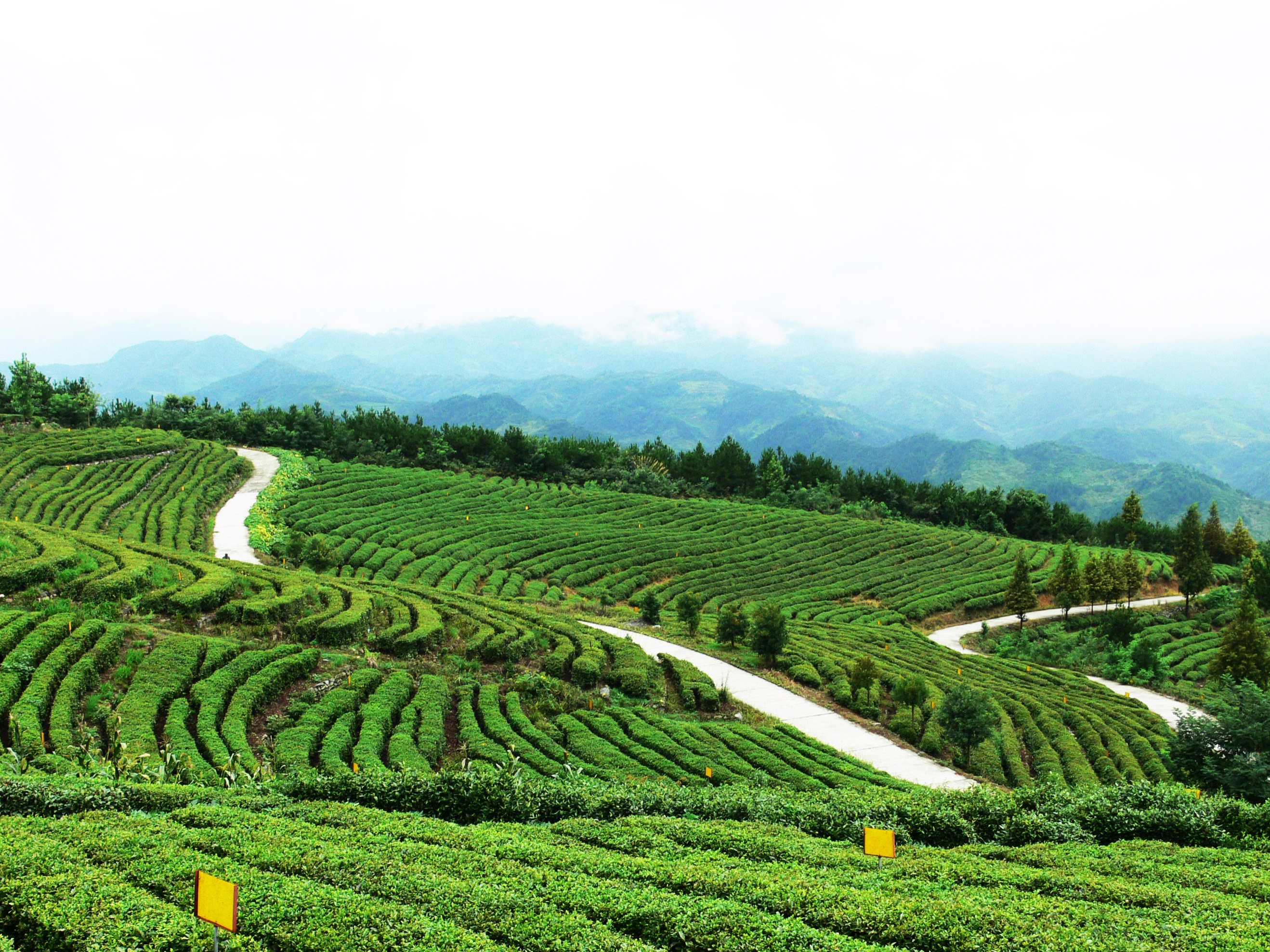 省台办来我县调研对台工作