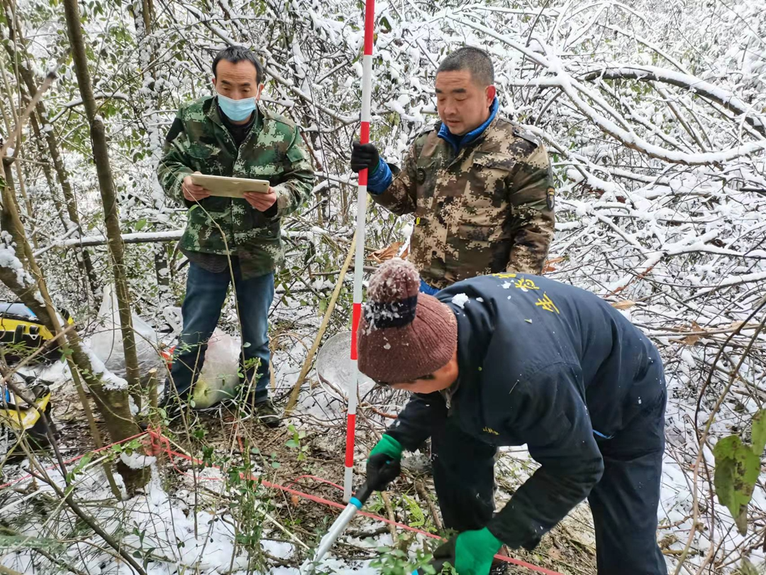 踏雪普查