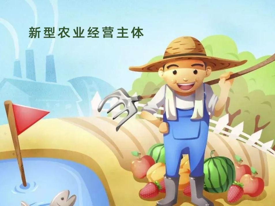 縣財(cái)政局全力支持新型農(nóng)業(yè)經(jīng)營主體發(fā)展