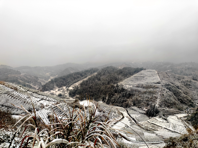 竹坪鄉(xiāng)：林海雪原風(fēng)光美