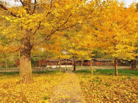 秦古镇中心学校推行廉政问卷提升服务质量