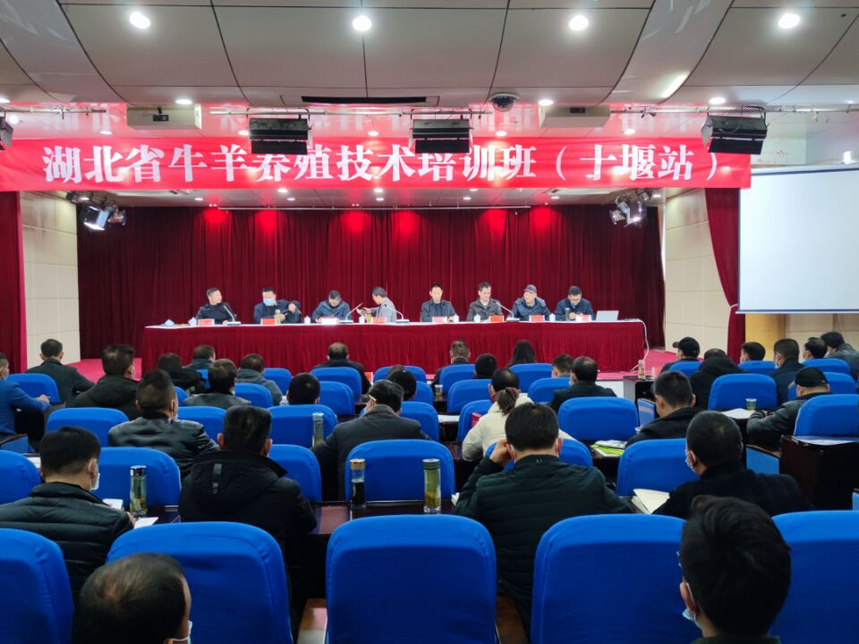 全省牛羊养殖技术培训班（十堰站）在我县开班