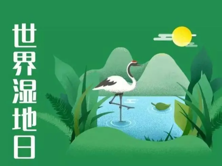 圣水湖管理局開展第26個“世界濕地日”活動