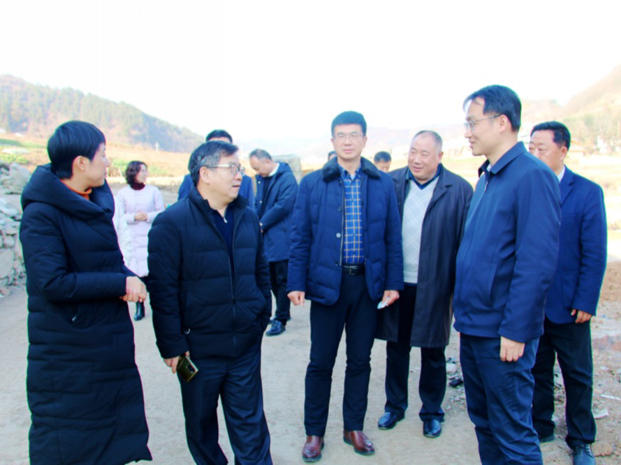 梁长岛来我县调研乡村振兴工作