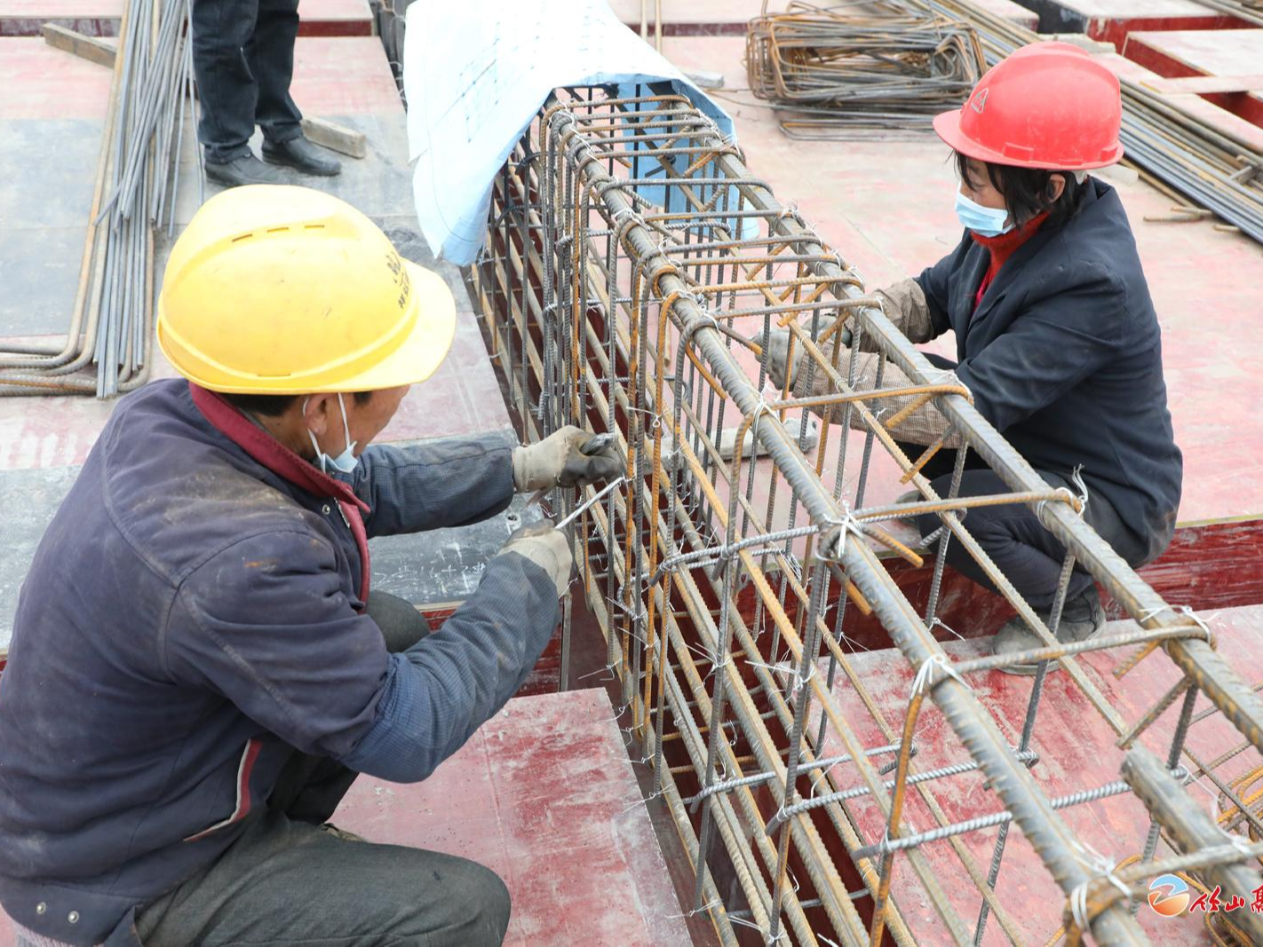 茶叶产业园：春节不停工 全力赶进度