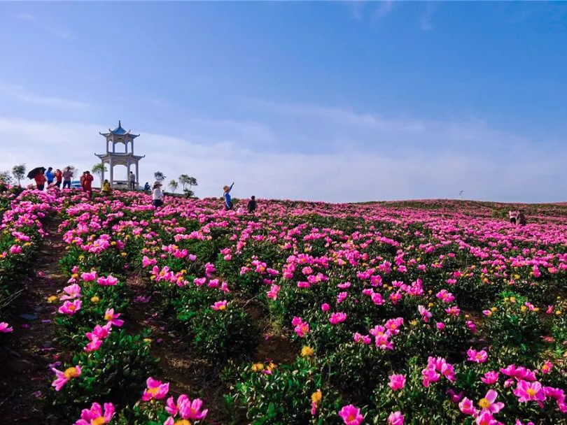 聽竹山｜在向陽的山坡，我許下一個愿