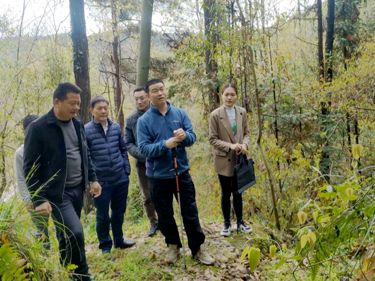 县绿松石产业中心开展矿山安全检查
