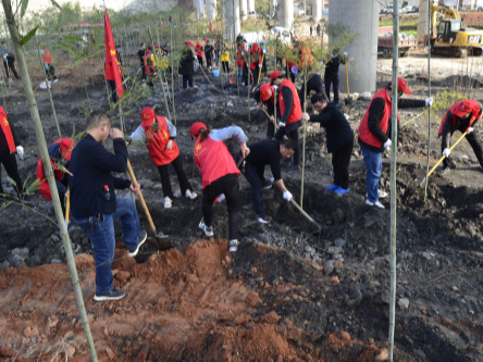 溢水中心学校：植树造林美化家园
