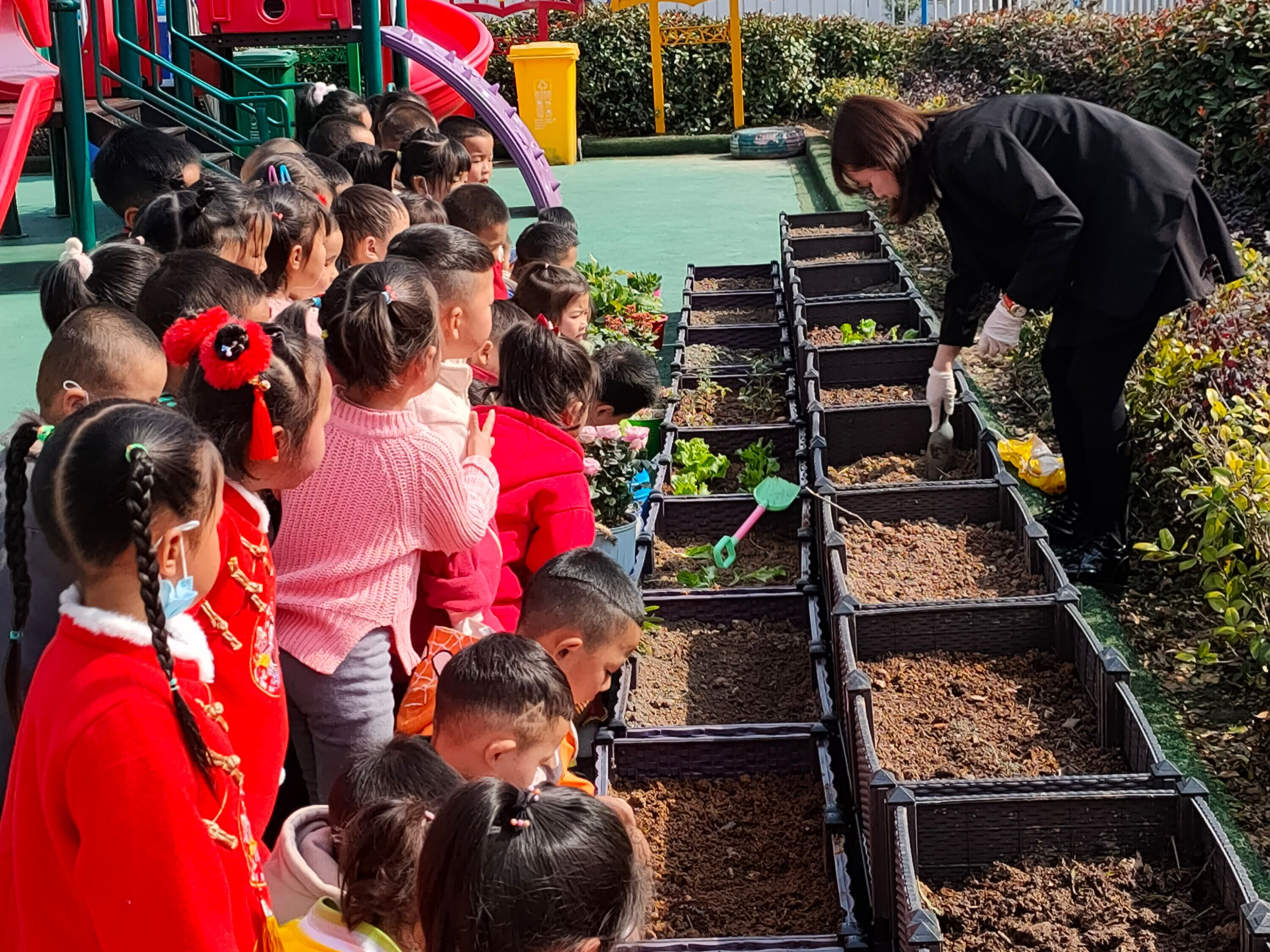 秦古镇中心幼儿园：体验种植快乐