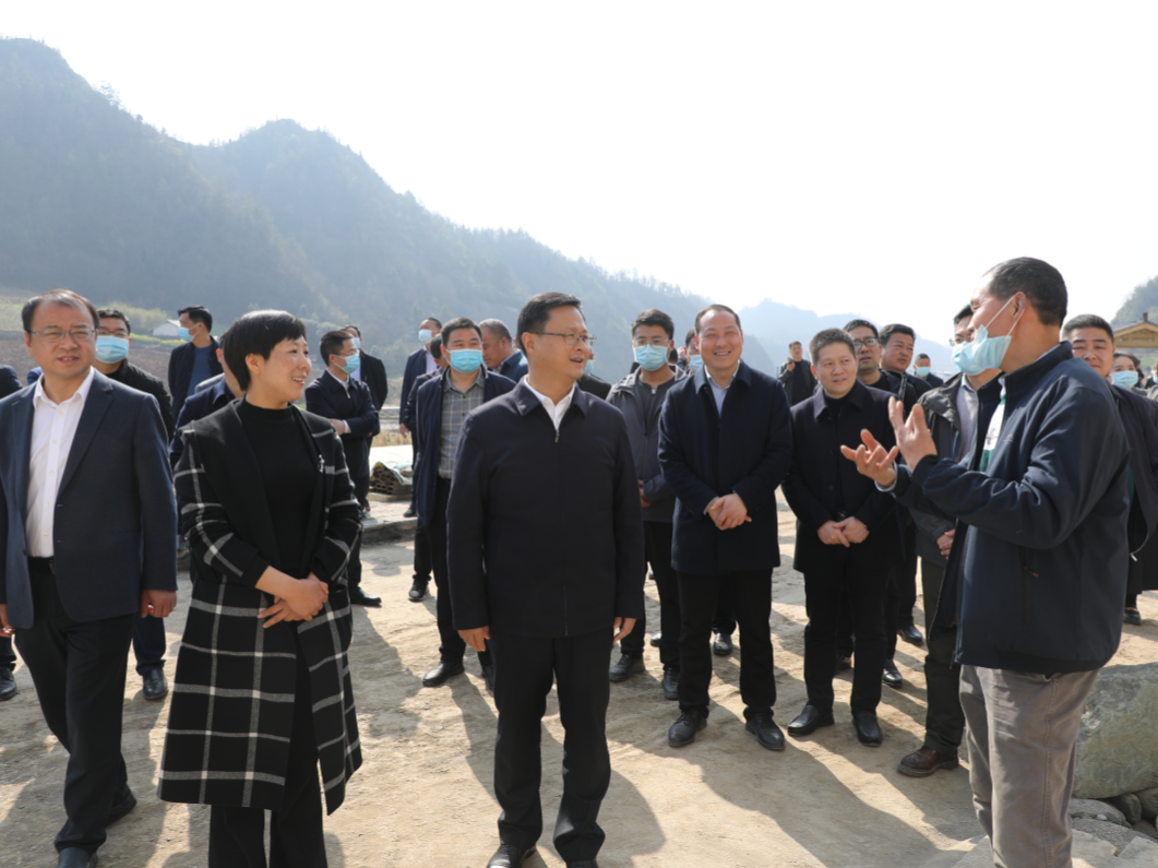 全县巩固拓展脱贫攻坚成果同乡村振兴有效衔接现场推进会召开