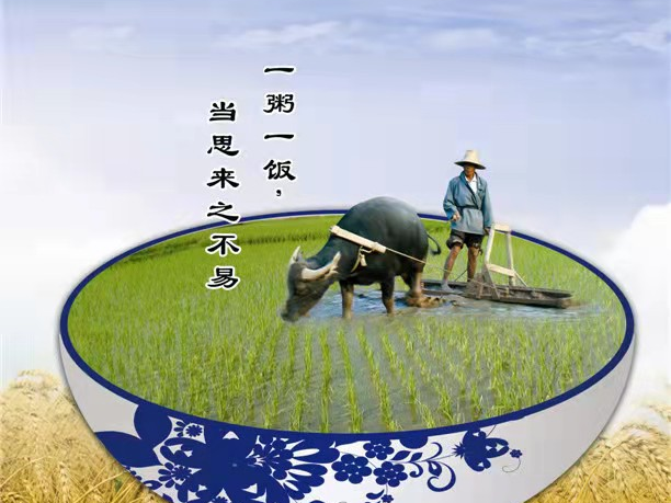 竹山职教：不做“必剩客” 争当“光盘侠”