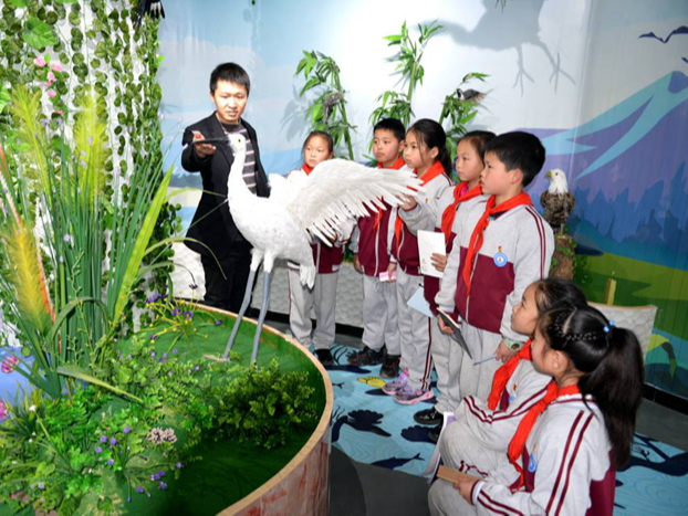 上庸镇中心学校：零距离感受本土文化魅力