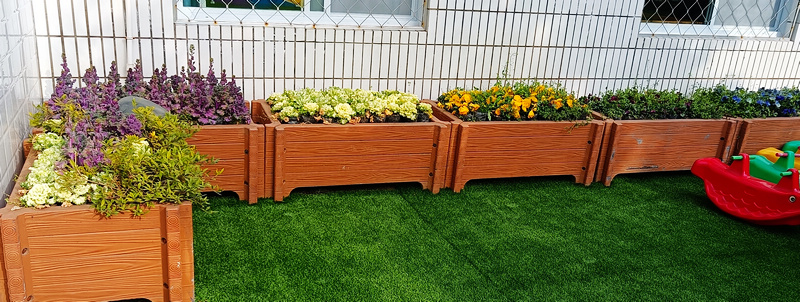 县实验幼儿园：爱绿植绿护绿让校园更美丽