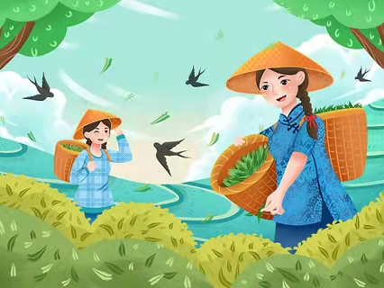 擂鼓镇：仲春时节采茶忙