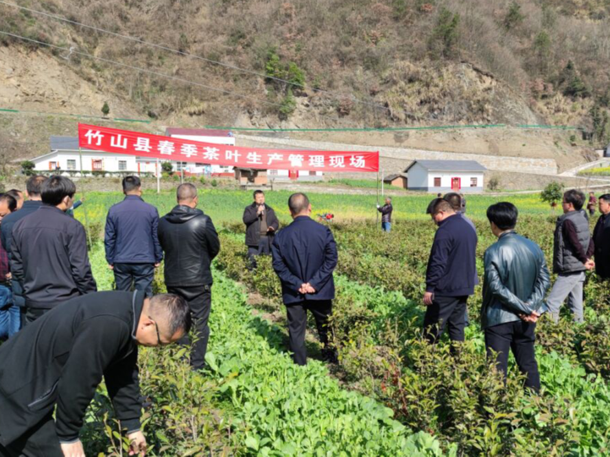 我縣全面掀起農業春防春管熱潮