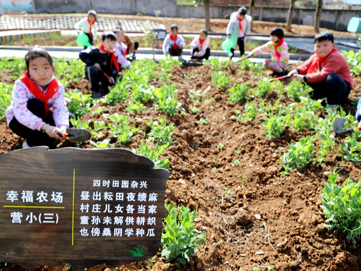 麻家渡镇营盘河小学开辟“幸福农场”劳动育人