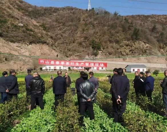 省地質局駐村工作隊：綻放巾幗風采  助推鄉村振興