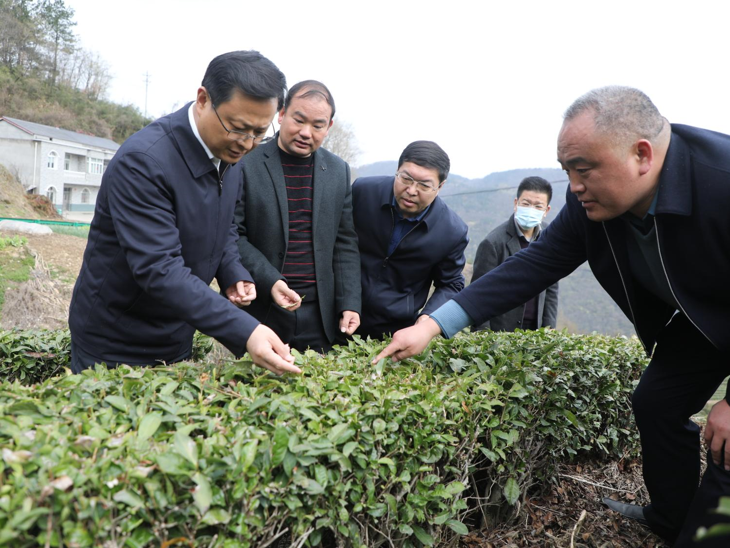 陈建平：不负春光抢抓农时 打好保丰收促增产主动仗