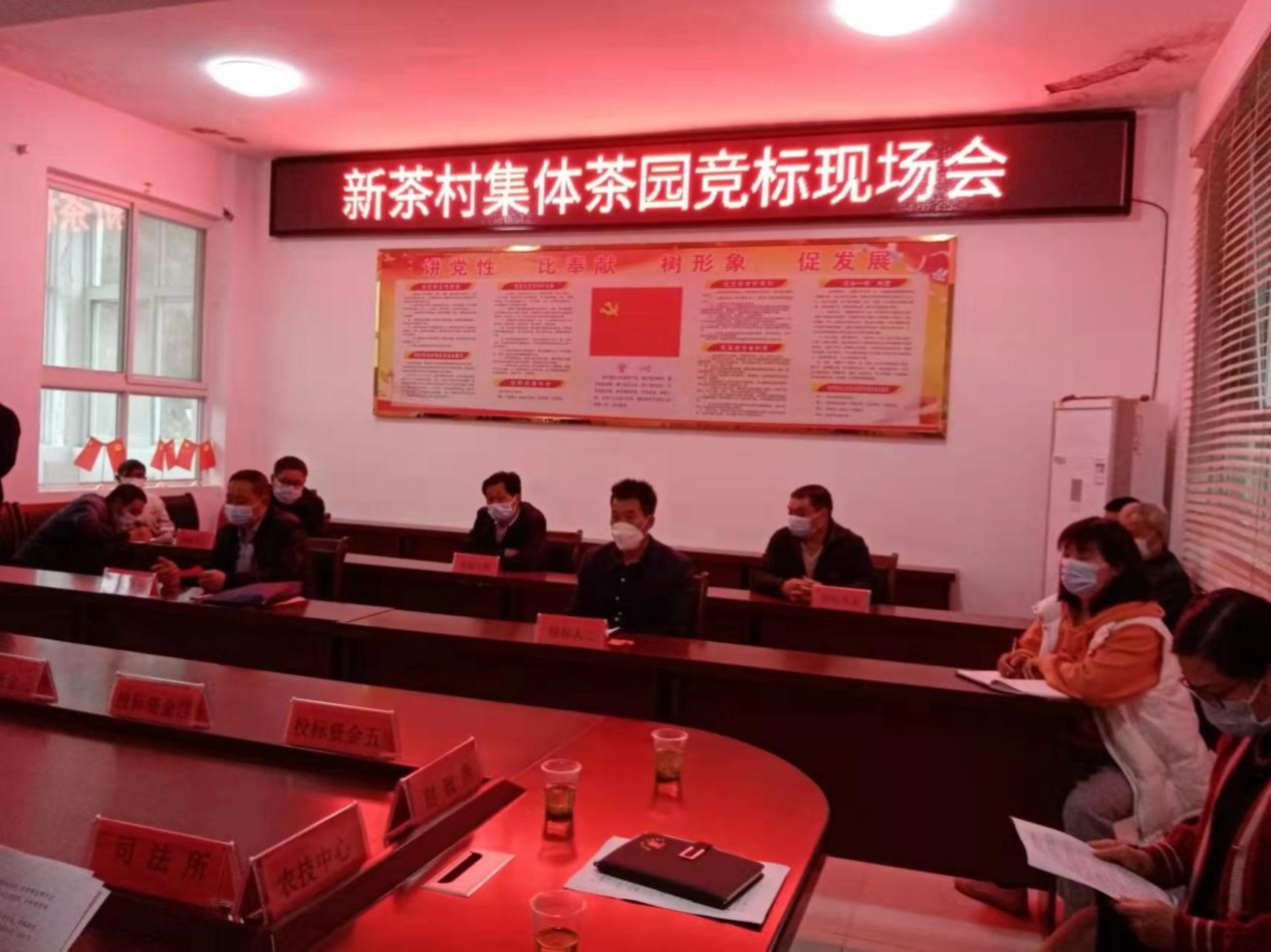 宝丰镇：竞标让村集体资源活起来